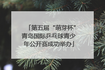 第五届“萌芽杯”青岛国际乒乓球青少年公开赛成功举办