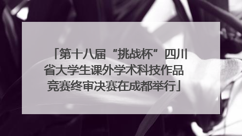 第十八届“挑战杯”四川省大学生课外学术科技作品竞赛终审决赛在成都举行
