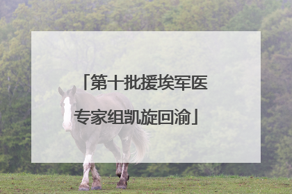 第十批援埃军医专家组凯旋回渝