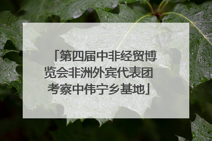 第四届中非经贸博览会非洲外宾代表团考察中伟宁乡基地