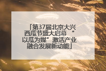 第37届北京大兴西瓜节盛大启幕 “以瓜为媒”激活产业融合发展新动能