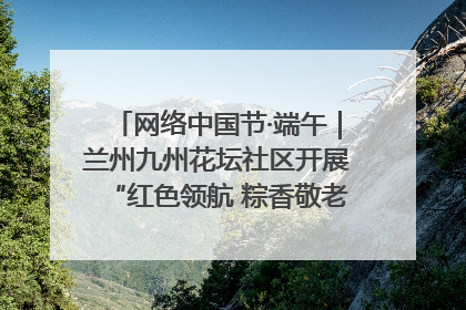 网络中国节·端午｜兰州九州花坛社区开展“红色领航 粽香敬老”端午主题活动