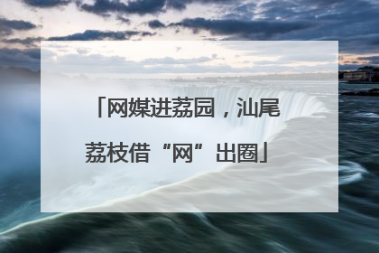 网媒进荔园，汕尾荔枝借“网”出圈