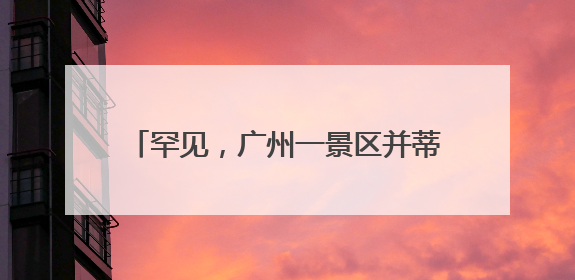 罕见，广州一景区并蒂莲与三蒂莲同时盛放