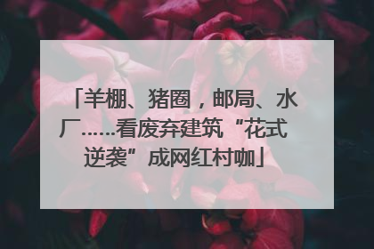 羊棚、猪圈，邮局、水厂……看废弃建筑“花式逆袭”成网红村咖
