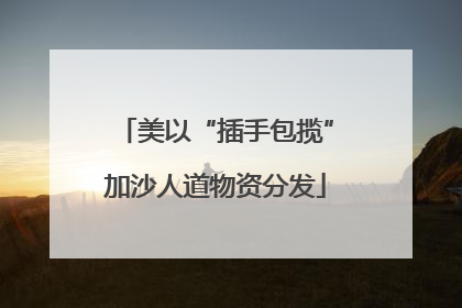 美以“插手包揽”加沙人道物资分发