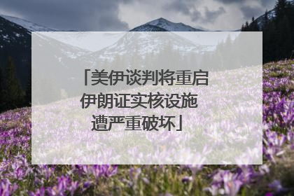 美伊谈判将重启 伊朗证实核设施遭严重破坏