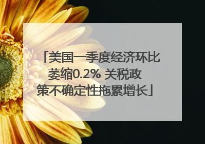 美国一季度经济环比萎缩0.2% 关税政策不确定性拖累增长