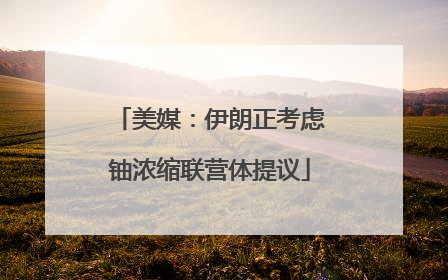 美媒：伊朗正考虑铀浓缩联营体提议