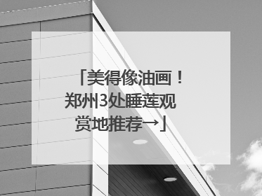 美得像油画！郑州3处睡莲观赏地推荐→