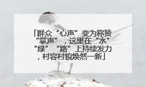 群众“心声”变为称赞“掌声”，这里在“水”“绿”“路”上持续发力，村容村貌焕然一新