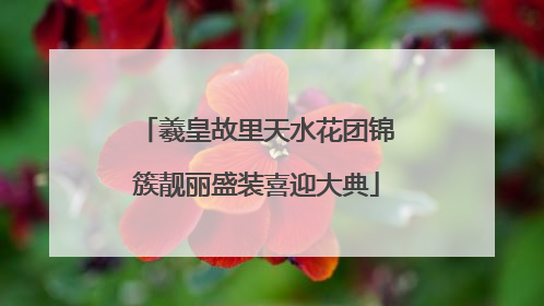 羲皇故里天水花团锦簇靓丽盛装喜迎大典