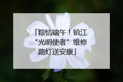 粽情端午！镇江“光明使者”维修路灯送安康