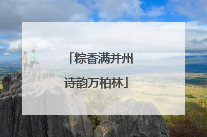 粽香满并州 诗韵万柏林