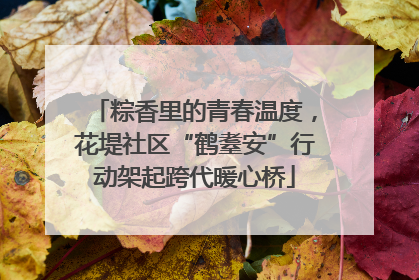 粽香里的青春温度，花堤社区“鹤耋安”行动架起跨代暖心桥