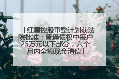 红星控股重整计划获法院批准：普通债权中每户25万元以下部分，六个月内全额现金清偿