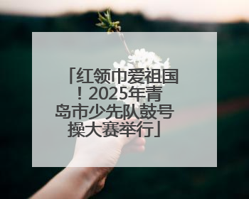 红领巾爱祖国！2025年青岛市少先队鼓号操大赛举行