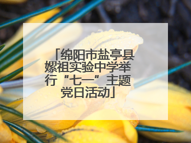 绵阳市盐亭县嫘祖实验中学举行“七一”主题党日活动