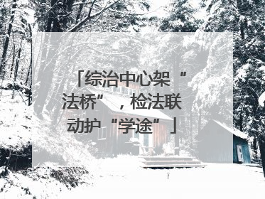 综治中心架“法桥”，检法联动护“学途”