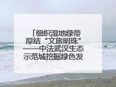 细织湿地绿带 厚结“文旅明珠”——中法武汉生态示范城挖掘绿色发展新动能