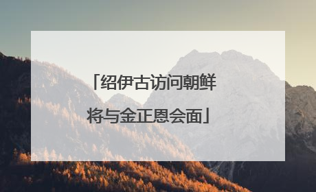 绍伊古访问朝鲜 将与金正恩会面