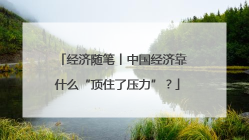 经济随笔丨中国经济靠什么“顶住了压力”？