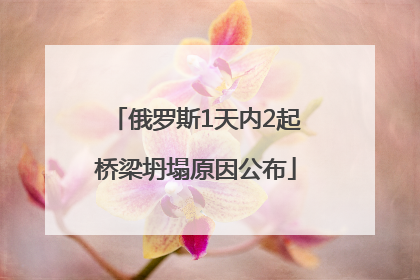 俄罗斯1天内2起桥梁坍塌原因公布