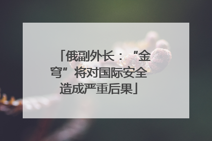 俄副外长：“金穹”将对国际安全造成严重后果