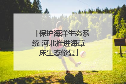 保护海洋生态系统 河北推进海草床生态修复