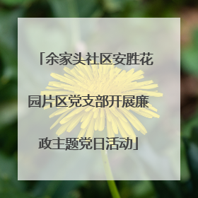 余家头社区安胜花园片区党支部开展廉政主题党日活动