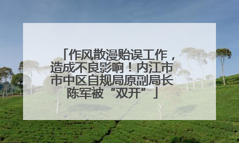 作风散漫贻误工作，造成不良影响！内江市市中区自规局原副局长陈军被“双开”
