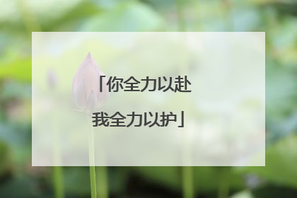 你全力以赴 我全力以护