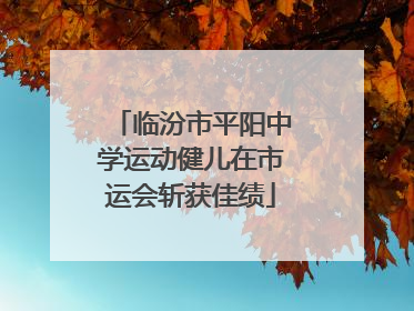 临汾市平阳中学运动健儿在市运会斩获佳绩