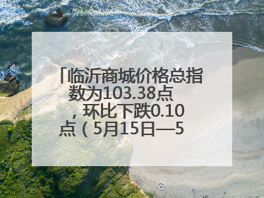 临沂商城价格总指数为103.38点，环比下跌0.10点（5月15日—5月21日）