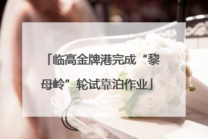 临高金牌港完成“黎母岭”轮试靠泊作业