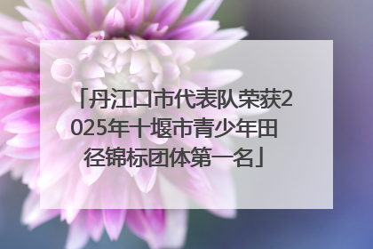 丹江口市代表队荣获2025年十堰市青少年田径锦标团体第一名
