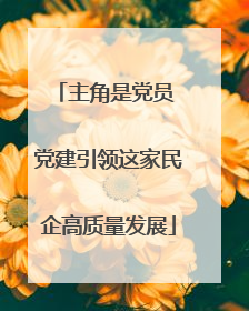 主角是党员 党建引领这家民企高质量发展