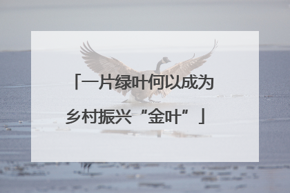 一片绿叶何以成为乡村振兴“金叶”