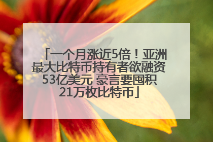一个月涨近5倍！亚洲最大比特币持有者欲融资53亿美元 豪言要囤积21万枚比特币