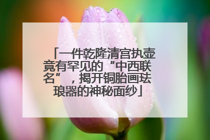 一件乾隆清宫执壶竟有罕见的“中西联名”，揭开铜胎画珐琅器的神秘面纱