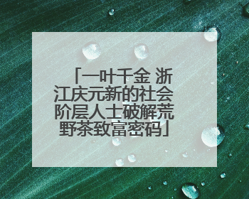 一叶千金 浙江庆元新的社会阶层人士破解荒野茶致富密码