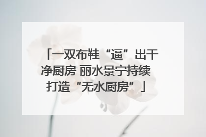 一双布鞋“逼”出干净厨房 丽水景宁持续打造“无水厨房”