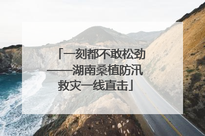 一刻都不敢松劲——湖南桑植防汛救灾一线直击