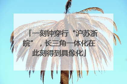 一刻钟穿行“沪苏浙皖”，长三角一体化在此刻得到具像化