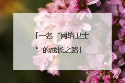 一名“网络卫士”的成长之路