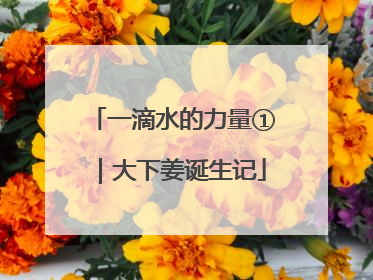 一滴水的力量①｜大下姜诞生记