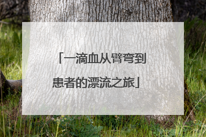 一滴血从臂弯到患者的漂流之旅