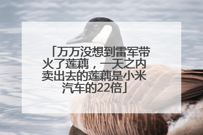 万万没想到雷军带火了莲藕，一天之内卖出去的莲藕是小米汽车的22倍