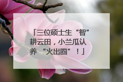 三位硕士生“智” 耕云田，小兰瓜认养 “火出圈”！