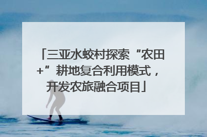 三亚水蛟村探索“农田+”耕地复合利用模式，开发农旅融合项目